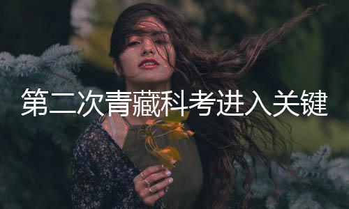 第二次青藏科考進(jìn)入關(guān)鍵階段 浮空艇新技術(shù)成功應(yīng)用—新聞—科學(xué)網(wǎng)
