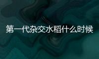 第一代雜交水稻什么時候問世（雜交水稻什么時候問世）