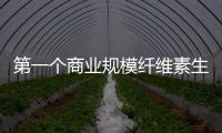 第一個商業(yè)規(guī)模纖維素生物煉制廠在美國獲貸款擔(dān)保
