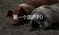 第一個(gè)國(guó)產(chǎn)PD