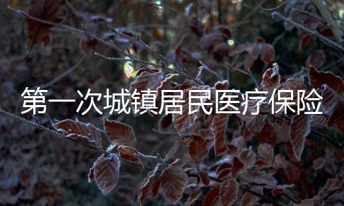 第一次城鎮居民醫療保險如何繳費
