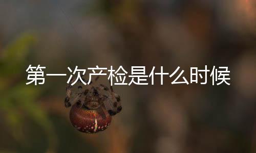 第一次產檢是什么時候