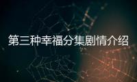 第三種幸福分集劇情介紹