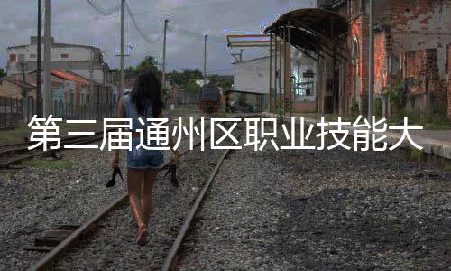 第三屆通州區職業技能大賽舉辦