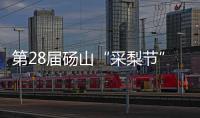 第28屆碭山“采梨節”開幕