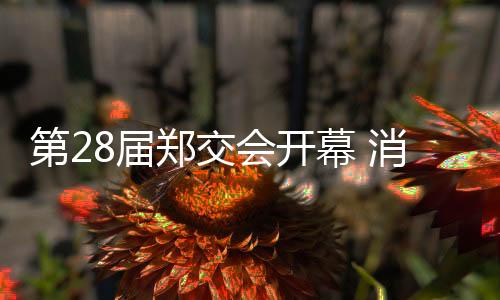 第28屆鄭交會(huì)開幕 消費(fèi)者“一站式”海淘