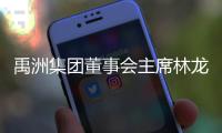禹洲集團董事會主席林龍安辭任 妻子郭英蘭接棒