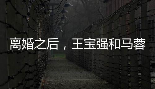 離婚之后，王寶強和馬蓉的人生現狀有什么不同？
