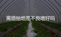 離婚抽煙是不良嗜好嗎