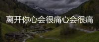 離開你心會很痛心會很痛一痛再痛舞蹈