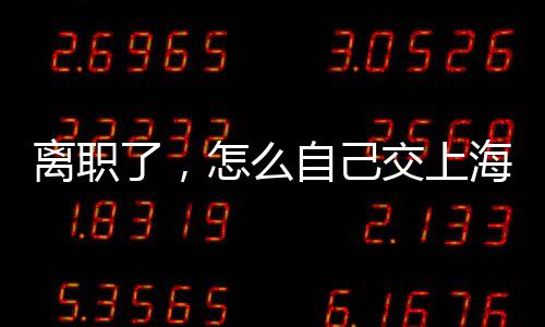 離職了，怎么自己交上海社保？上海社保最低多少錢一個月？