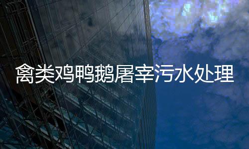 禽類雞鴨鵝屠宰污水處理設備