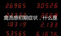 禽流感初期癥狀，什么是禽流感