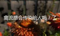 禽流感會(huì)傳染給人嗎？了解禽流感的癥狀和預(yù)防措施