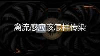 禽流感應該怎樣傳染