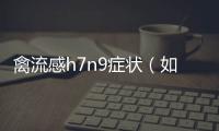 禽流感h7n9癥狀（如何判斷禽流感，預防和治療）