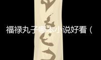 福祿丸子哪本小說好看（福祿丸子）