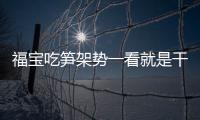 福寶吃筍架勢一看就是干飯熊，花式演繹“吃貨”的最高境界