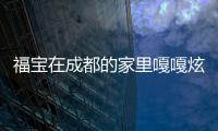 福寶在成都的家里嘎嘎炫飯  網友：是被美食包圍的幸福小熊