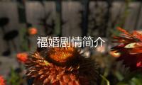 福婚劇情簡介