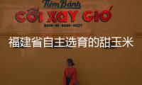 福建省自主選育的甜玉米品種實(shí)現(xiàn)進(jìn)口替代