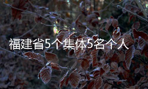 福建省5個(gè)集體5名個(gè)人獲全國(guó)表彰