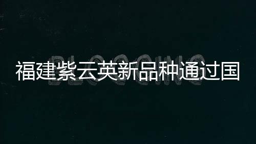 福建紫云英新品種通過國家草品種審定