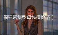 福建密集型母線槽價格（線槽價格）