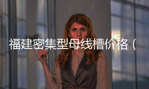 福建密集型母線槽價格（線槽價格）