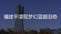 福建平潭現夢幻藍眼淚奇觀