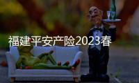 福建平安產(chǎn)險(xiǎn)2023春節(jié)護(hù)航行動(dòng)圓滿結(jié)束