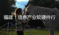 福建：信息產業軟硬件行業涌現一批高成長型企業