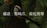 福建：泡鴨爪、姬松茸等25批次食品抽檢不合格