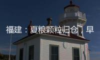 福建：夏糧顆粒歸倉，早稻單產蟬聯全國第一