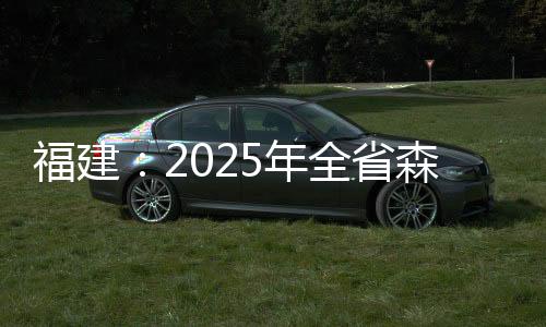 福建：2025年全省森林覆蓋率將達(dá)到67%