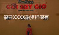 福建XXXX融資擔(dān)保有限公司注冊(cè)