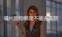 福州狗狗哪里不能去醫院？福州狗狗哪里不能去玩