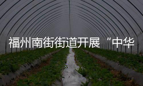 福州南街街道開展“中華魂·書畫緣”書法講座