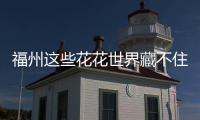 福州這些花花世界藏不住了 春日限定光景