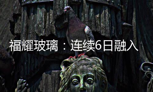 福耀玻璃：連續6日融入資金凈買入累計2988.07萬元（09