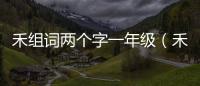 禾組詞兩個字一年級（禾組詞兩個字）