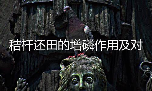 秸桿還田的增磷作用及對植株全磷含量干物質(zhì)積累的影響