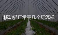 移動貓正常亮幾個燈怎樣才算正常（移動貓正常亮幾個燈）