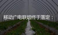 移動廣電聯姻終于落定：5G共建共享格局形成