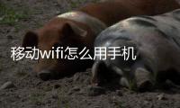 移動wifi怎么用手機改密碼（移動wifi怎么用）