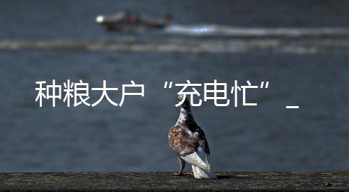 種糧大戶“充電忙”_