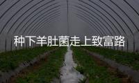 種下羊肚菌走上致富路