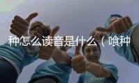 種怎么讀音是什么（喰種怎么讀）