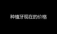 種植牙現(xiàn)在的價格