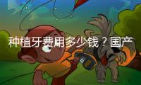 種植牙費(fèi)用多少錢(qián)？國(guó)產(chǎn)種植牙價(jià)格